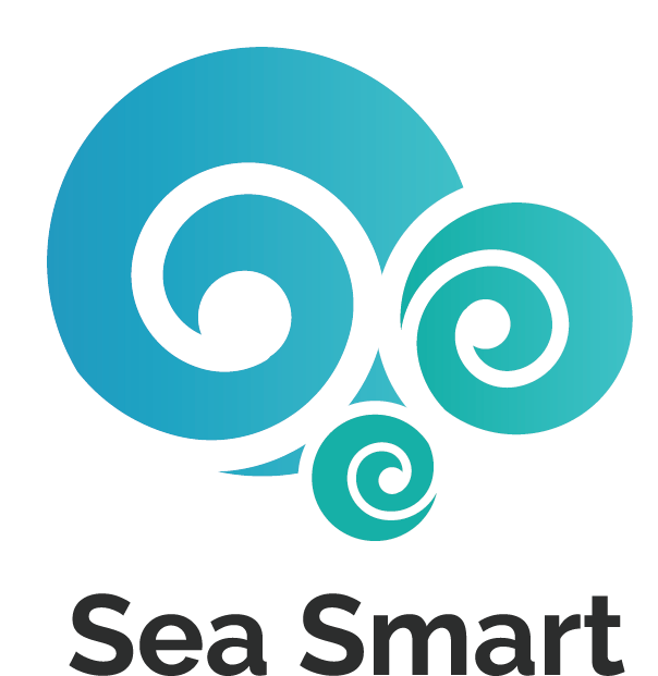 seasmartschool-cmyk-gradient-logo