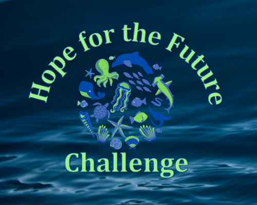 Hope for the Future Challenge (1)
