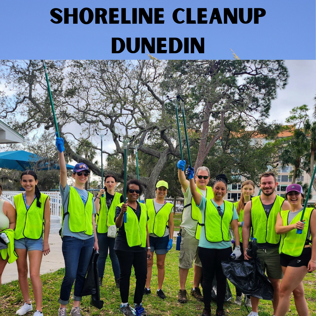 Shoreline Cleanup